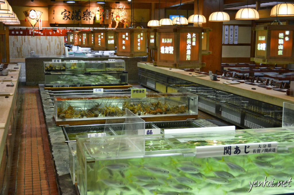 The attractive centre-piece fish tanks